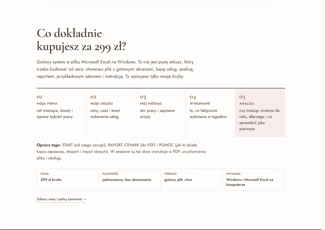 Sekcja salonprofit.pl: „Co dokładnie kupujesz za 299 zł?” z pięcioma kartami programu